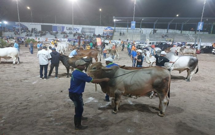 Feria ASOGATA