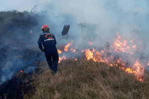 Incendios en Táchira sobrepasan las cifras históricas