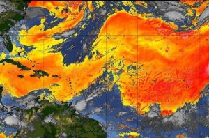 Polvo del sahara llega a venezuela noticias táchira