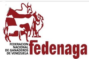 FEDENAGA