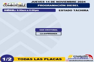 Programación de combustible 14 noviembre Táchira, diesel