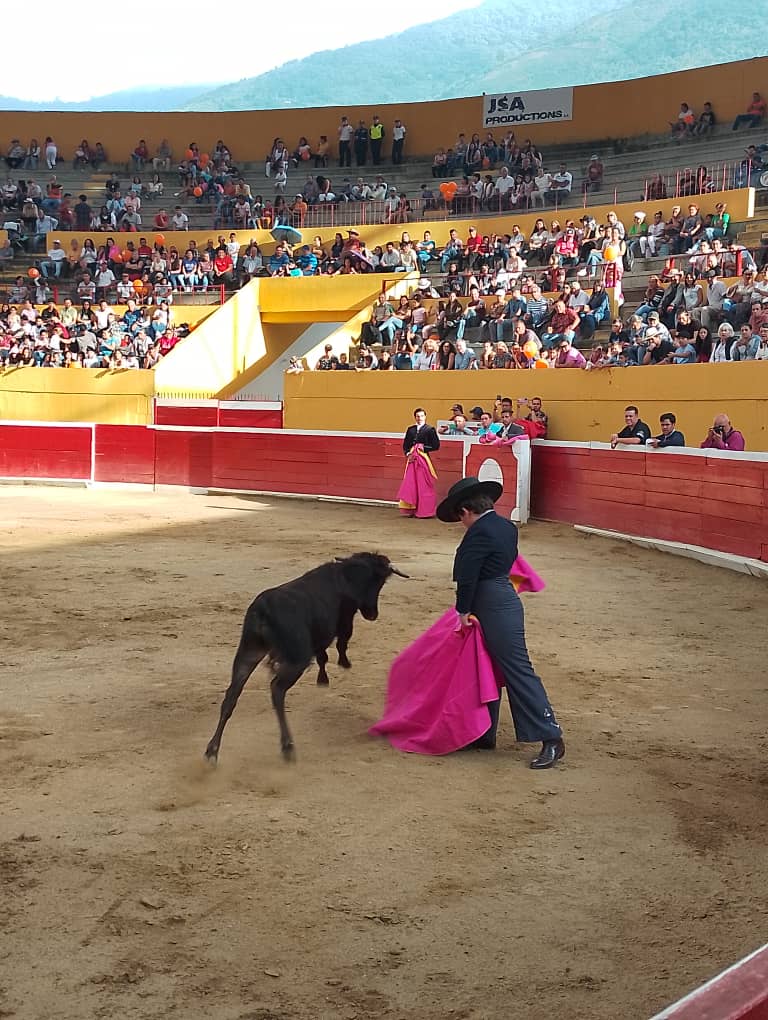 Corridas de toro en Tovar, Merida